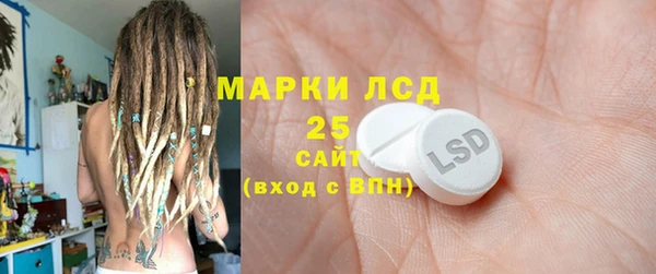 ПСИЛОЦИБИНОВЫЕ ГРИБЫ Алексин