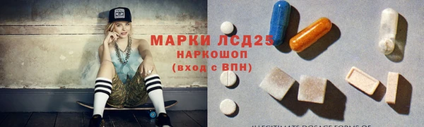 ПСИЛОЦИБИНОВЫЕ ГРИБЫ Алексин