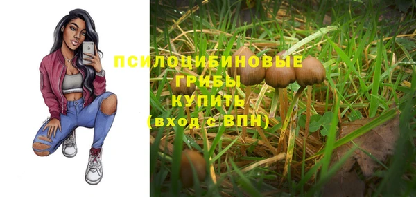каннабис Алзамай